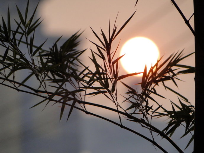 ҹ ҹ ִʫ 221029zq0ubmxtcxq3jjqj