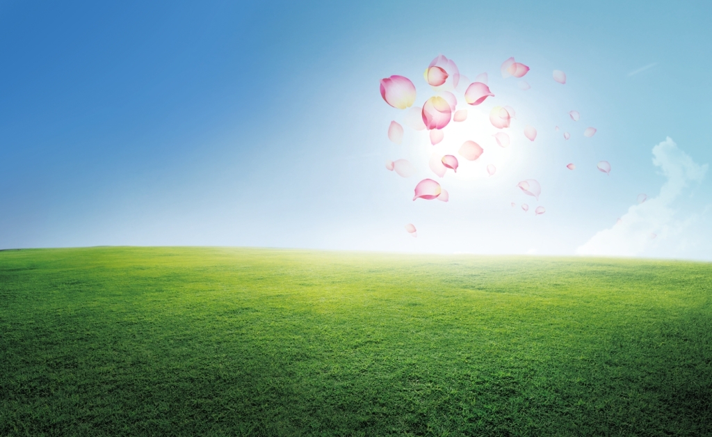 һݵ һ, ɢ 092707e83558m9o8kdkaxp