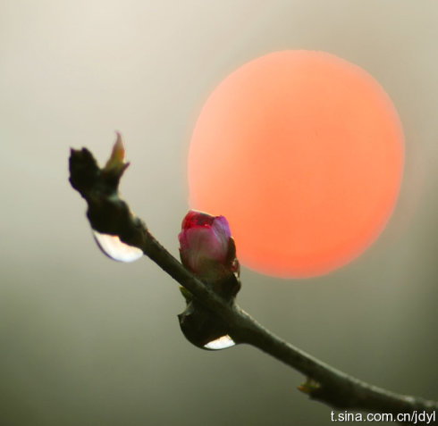   ִʫ 203538o2eosb34ssm11d9p