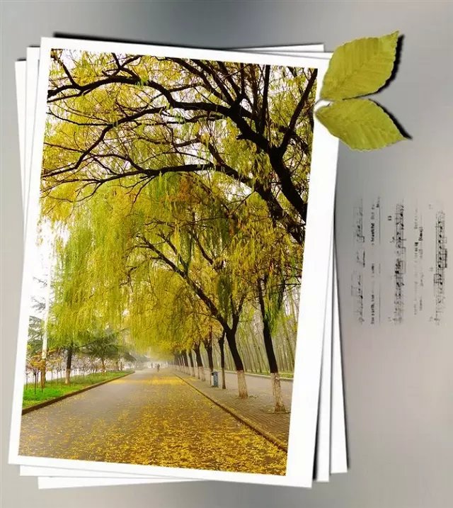 ʹΪ˸õľ Ϊ,, ɢ 212905kx728b01vcbhirar