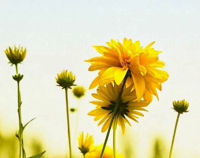 黭黳 黭,黳 Ͻ 201149nv3xw4czh4vz4rok