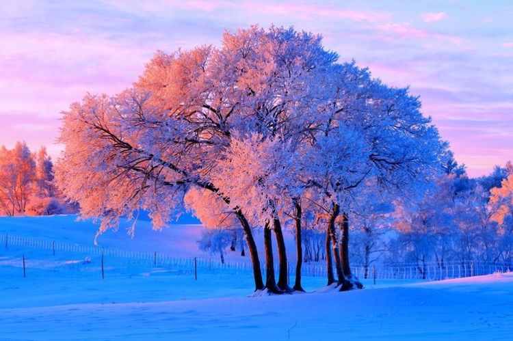   ɢ 093321vvs7d1d735o583o1