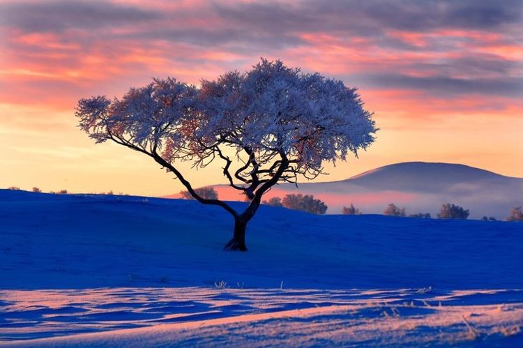   ɢ 093322ak7ont97b0gfjgzs