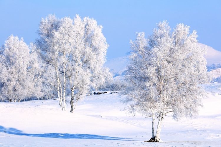   ɢ 093322optub4stwtj4bqb8