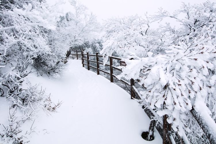   ɢ 093323fdx3dx75uxxbzxcc