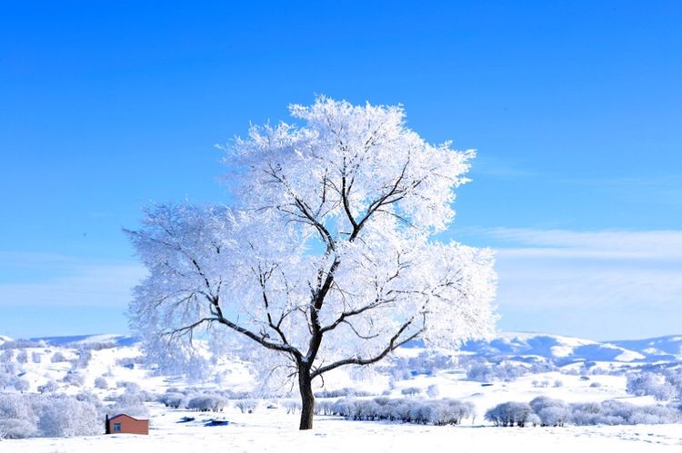   ɢ 093323r5ebcccy22ippel5