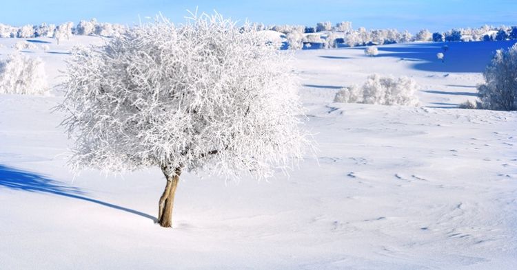   ɢ 093324qrbpjm8smshkutzs