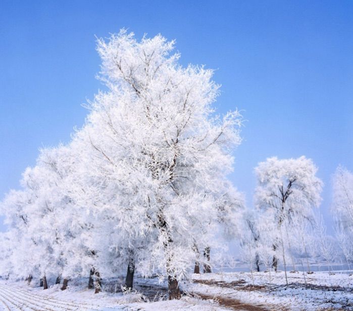   ɢ 093324s7n7n77rw2ywdyn7