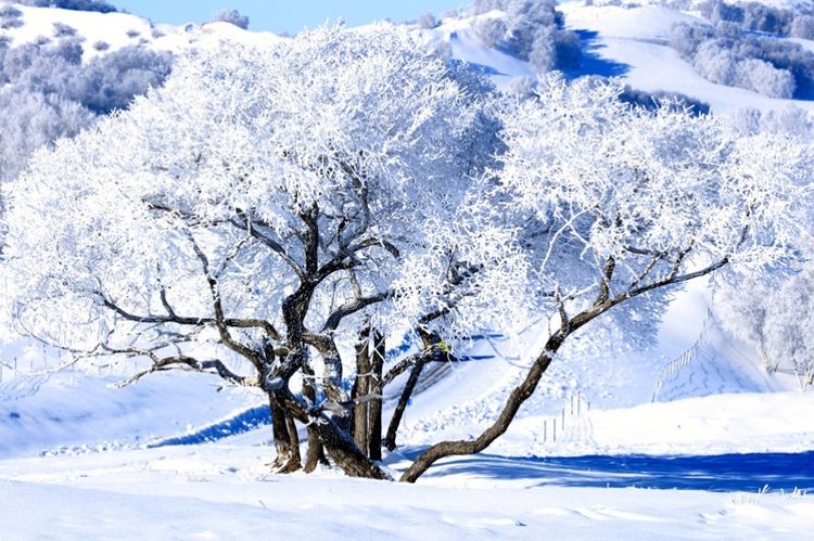   ɢ 093325ohisc0z88ppm8ptp