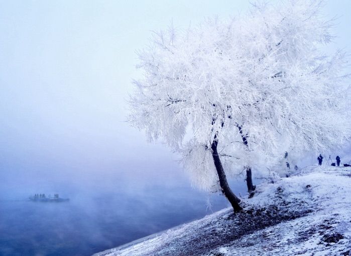   ɢ 093325yxah7h8qlwlhzlil