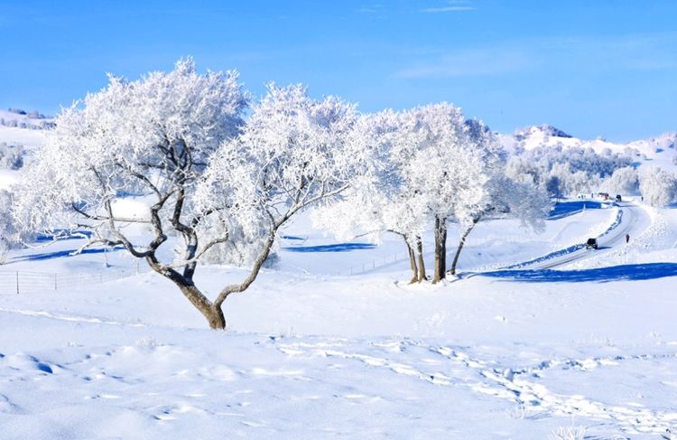   ɢ 093326bfjm5ff6xj6c2ftf