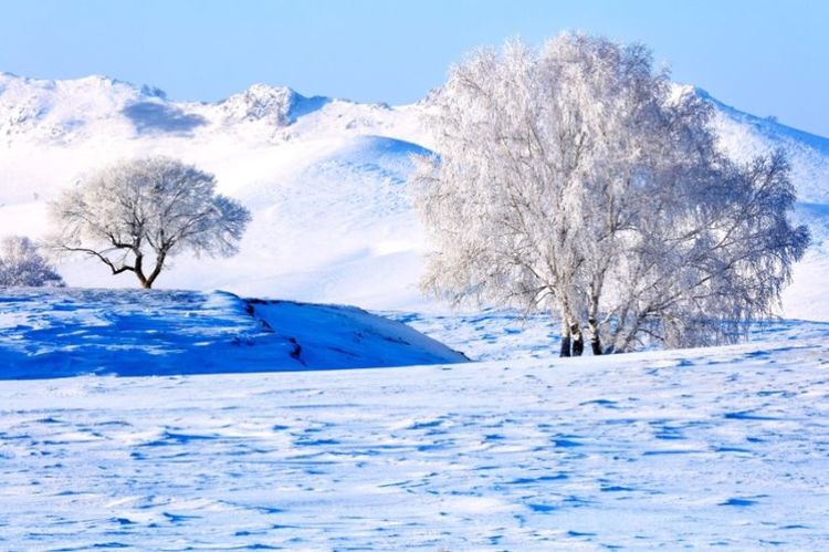   ɢ 093326og7lkljc5zmtkjga