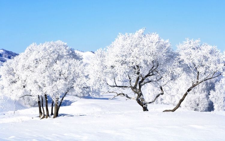   ɢ 093327aev3xgekvgxe93kd