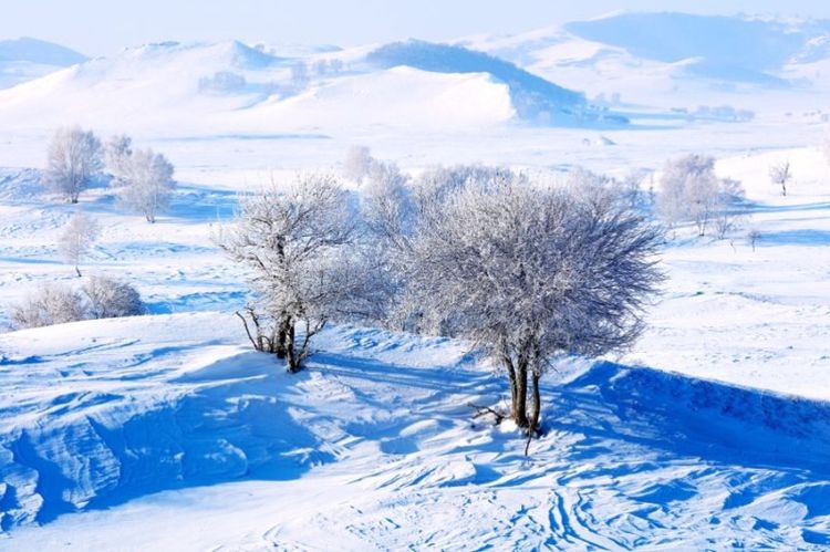   ɢ 093328spf5u8owpw5vds6d