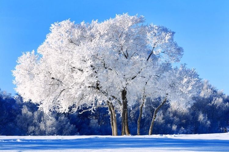   ɢ 093328u33y03wczd3wb13w