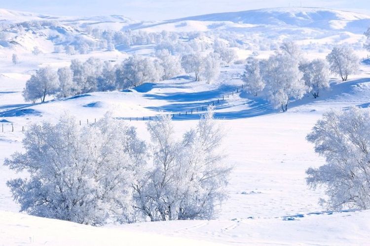   ɢ 093329di1eqqaaae1qizui