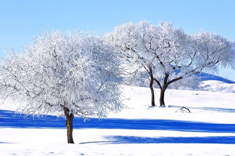   ɢ 093329u12c48irrvan2rzi