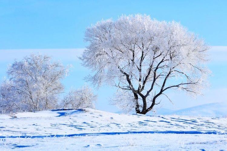   ɢ 093330vic5is3vpni1h1pk