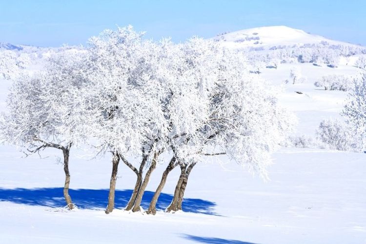   ɢ 093331qb1fqkkrjufkj4bu