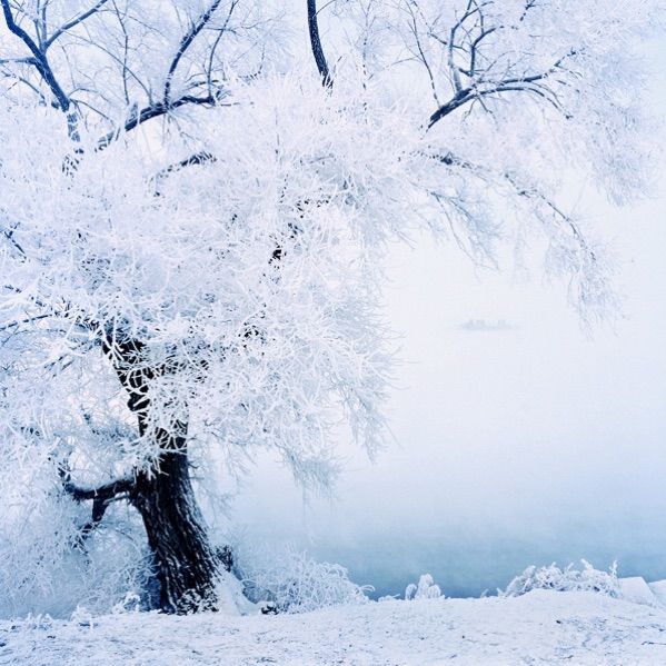   ɢ 093333j7ziir7q9947xqaa