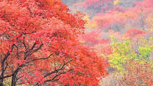 ĺƮŽ Ʈ, ɢ 193501aemgefzcyubvciq0