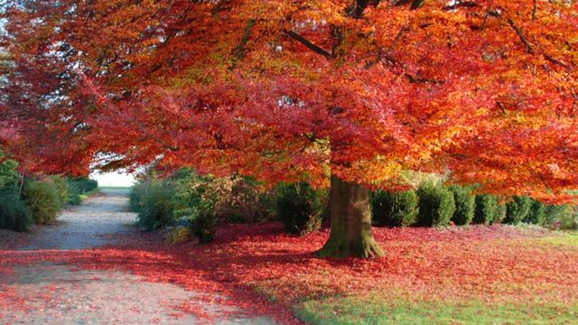 Щ˵꣬ǵһ Щ,,һ ѧ 164220l2tpq6vl8rz9yf8f