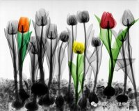    ִʫ 230129c1lxz1ilblu0zigb