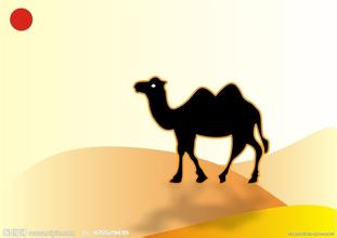 գǸ  ִʫ 205720dmqm8nvom8k2vnnv