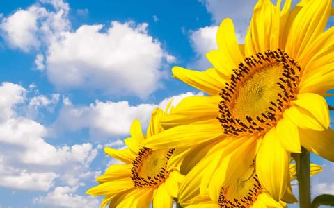 Ϊ˭  ɢ 201941nxxxevgekxxgw5qa