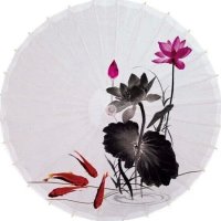 ֵ ǳ ֵ,ǳ ɢ 203829tt8ah2ag0228agba