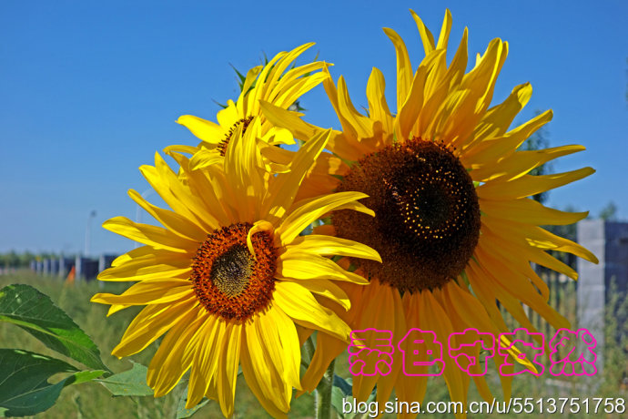 ʫ  Ͻ 234116ieik8itl47fm7mt7