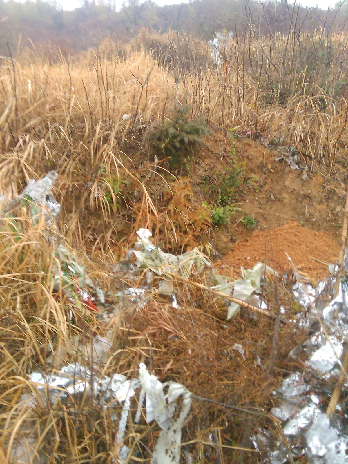 ػɽʫ ,ɽ Ͻ 170607vcp70uz72izeedfe