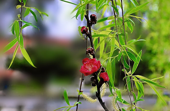 ߹ļ ߹,ļ ѧ 204246iz9715v7jhi1lil2