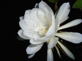 һ ,һ, ɢ 231223qt9b6ytybgvm5q0u