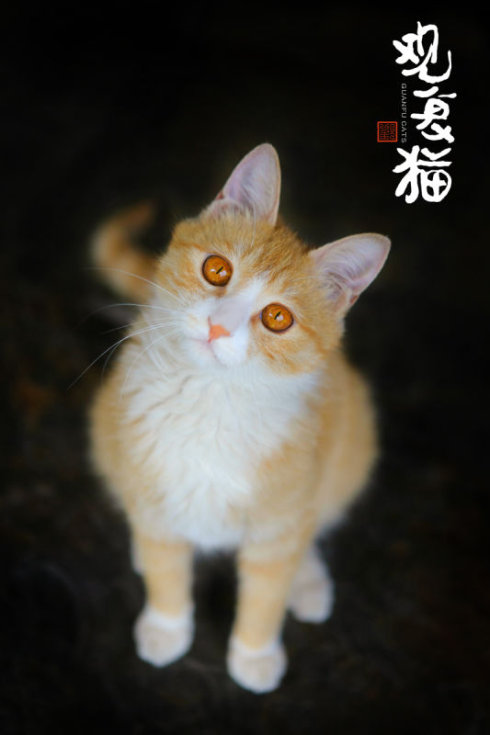 *Ȼ Ȼ ִʫ 223927a6vqa0qo0k6oq69h