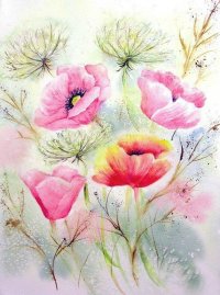 Ͱ  ɢ 231645gxymnssbsy98rsxz