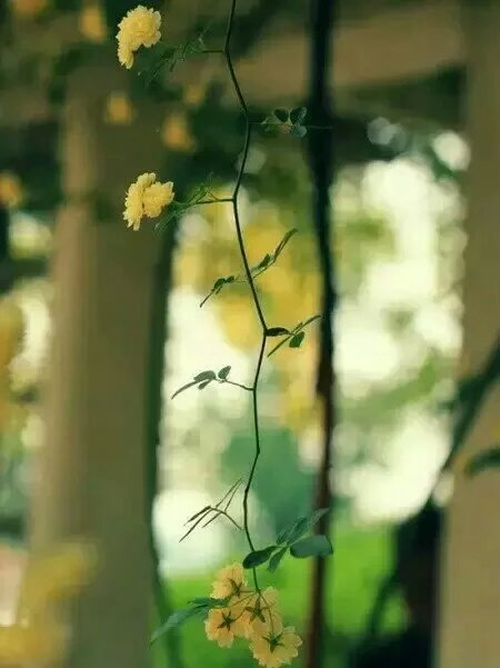 һҹ ,ҹ ִʫ 232112p6dk4ykzii66kgzk