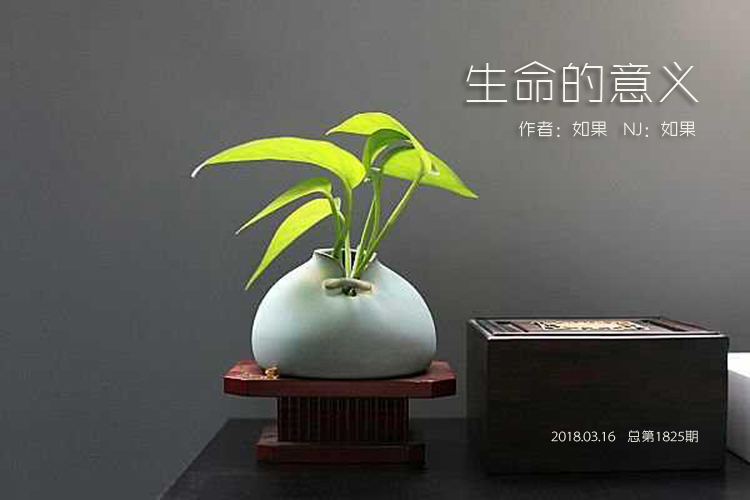  , ѧ 212710igatk1wncwderczg