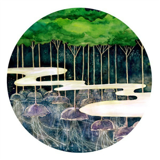 ˼ ˼ ɢ 120050xw8op87orm4dlw8p