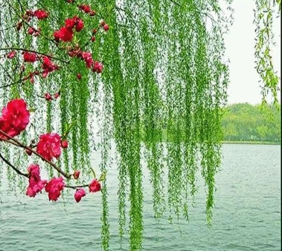 ҿ  , ִʫ 205141i8x9n4jjj0kjk23m