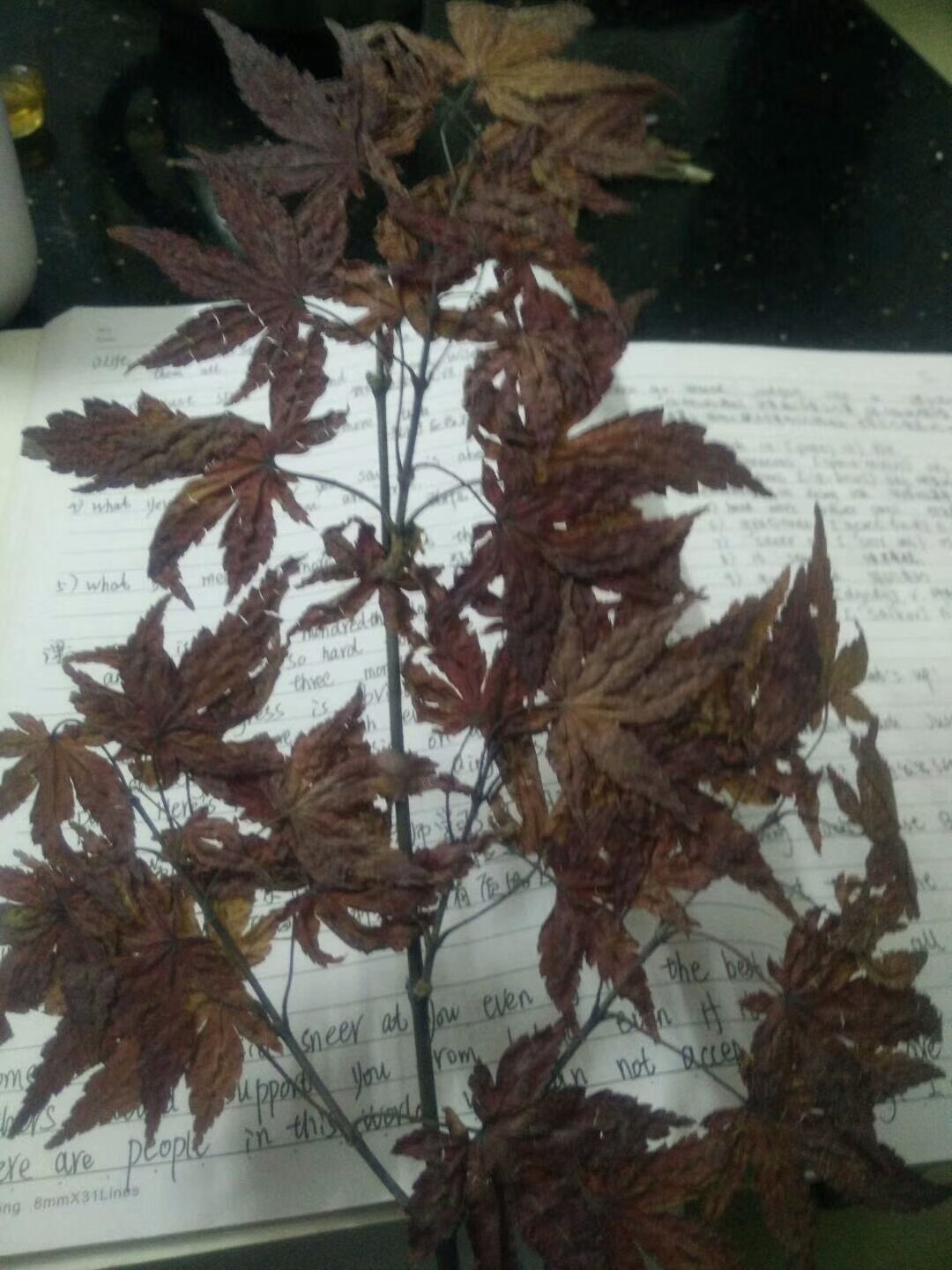 ڿαķҶ α,Ҷ ɢ 115048jastsva2jveksysf