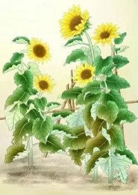 £һиոպ ,һ ɢ 204714s012oog02egodah0