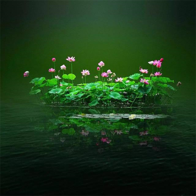 ΢˵ ˵ ִʫ 201520y55dp5h5d5gepcgw