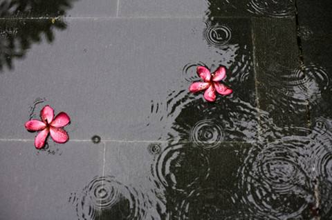   Ͻ 164104fgjfoywddmpf11iq