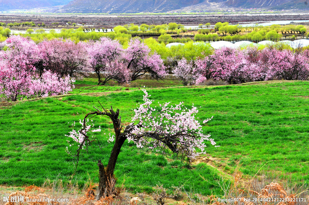 ЦƽԵ ƽ ɢ 212950e6lqsans6lkmymbg