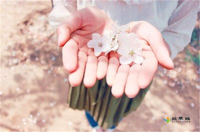 Ұ Ұ Ͻ 195242a1kkikzg07bwr7ly