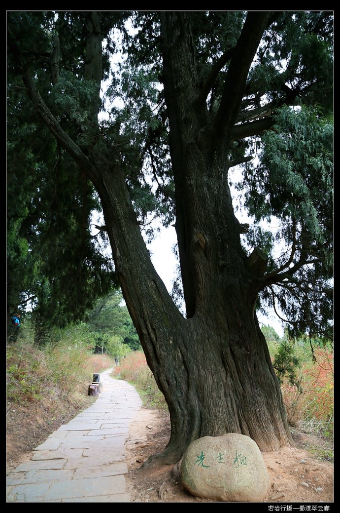 ˵˵ǵ ˵˵,,ǵ ɢ 221658ua8ca766cs6sa867