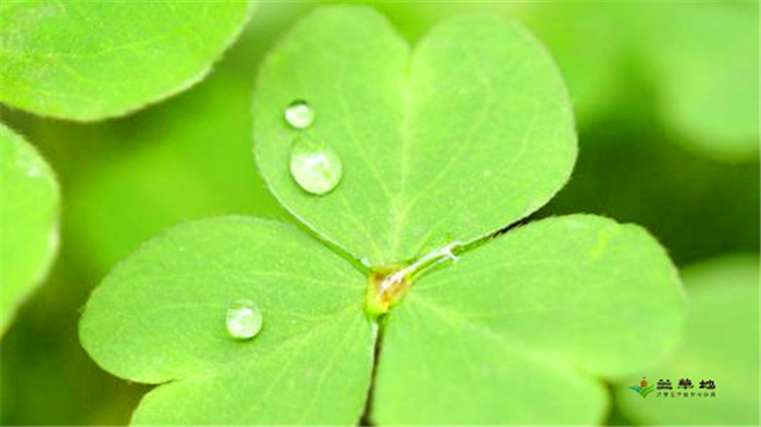 ·ϣ߶ ·,,߶ ƪС˵ 090612xr3e3rpbg7967lgq