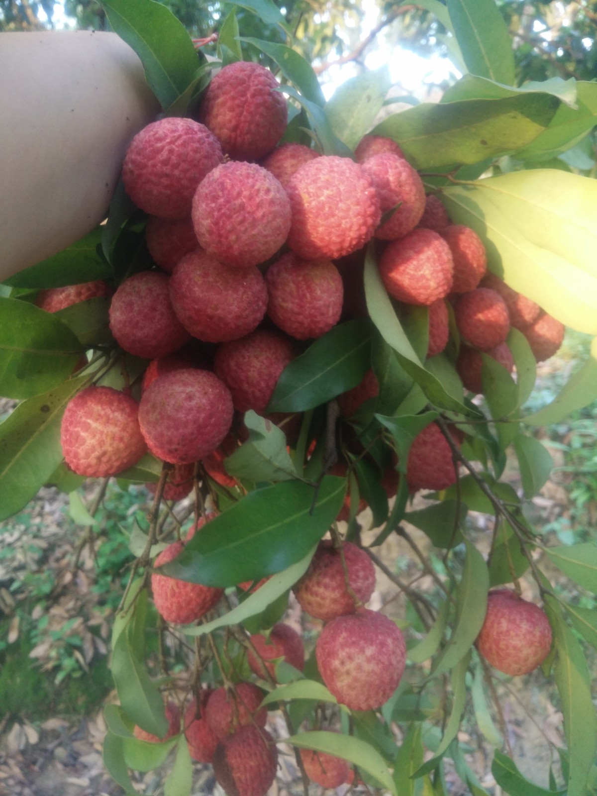 ֦ ֦ ɢ 222607xbf6w6ntnq6zfhne