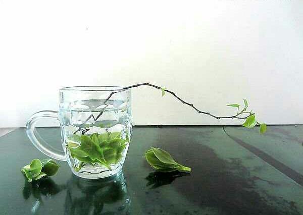 һѩԼ ѩ,Լ ƪС˵ 202644bj7i7hzrmcegnuje